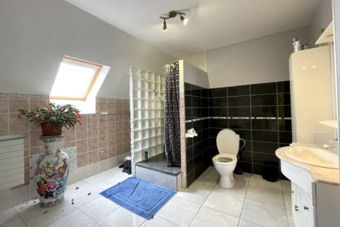 Salle eau 1