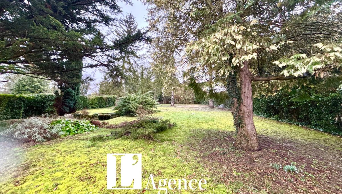 Design sans titre - 2025-01-24T153317.577