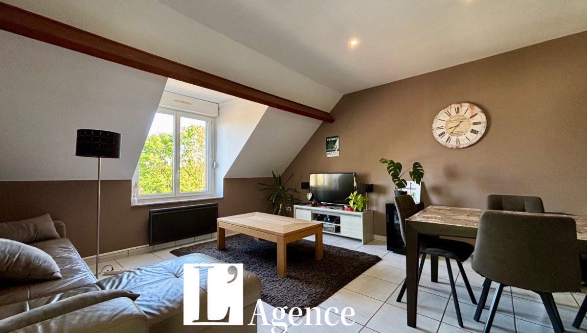 MAISON (1)