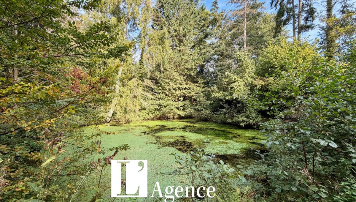 Design sans titre - 2025-10-01T143920.808