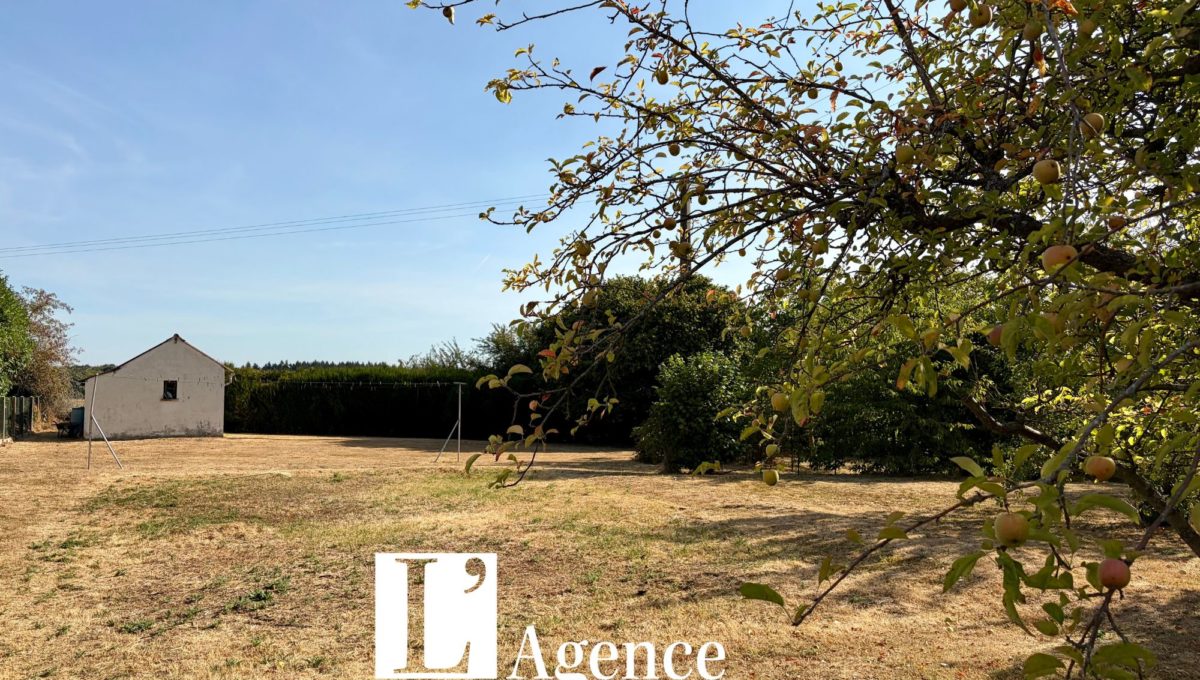 Design sans titre - 2026-08-10T143334.709