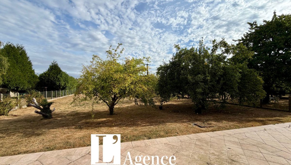 Design sans titre - 2026-08-18T152935.176
