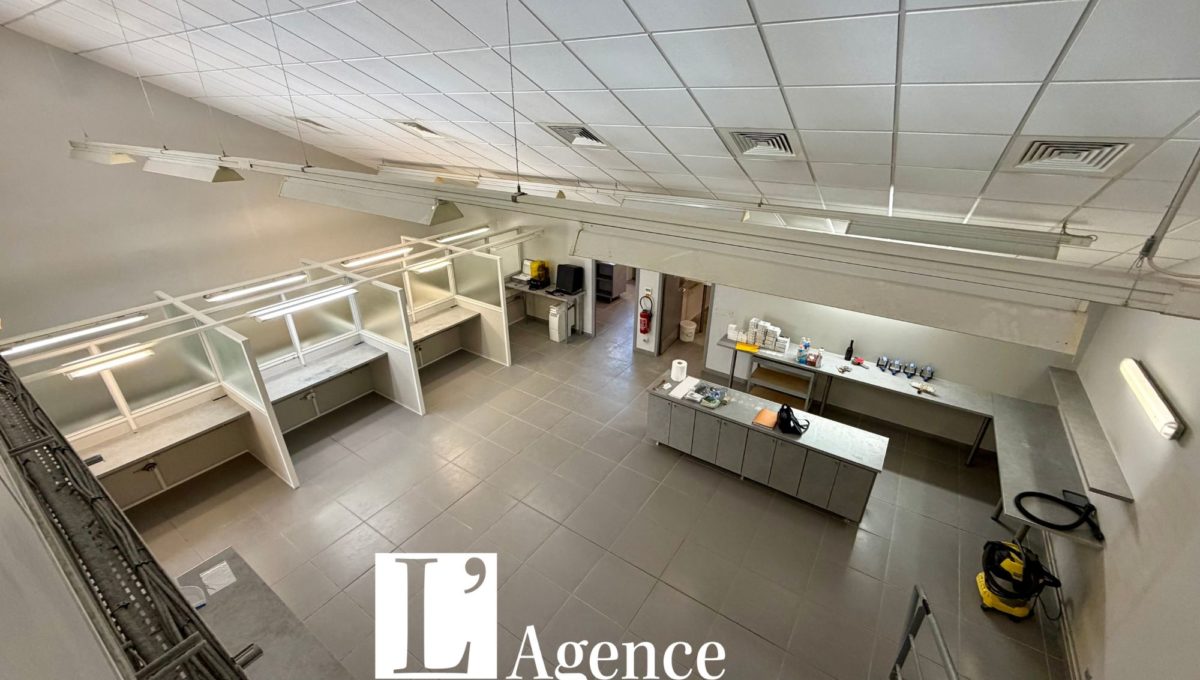 Design sans titre - 2026-10-15T134730.413
