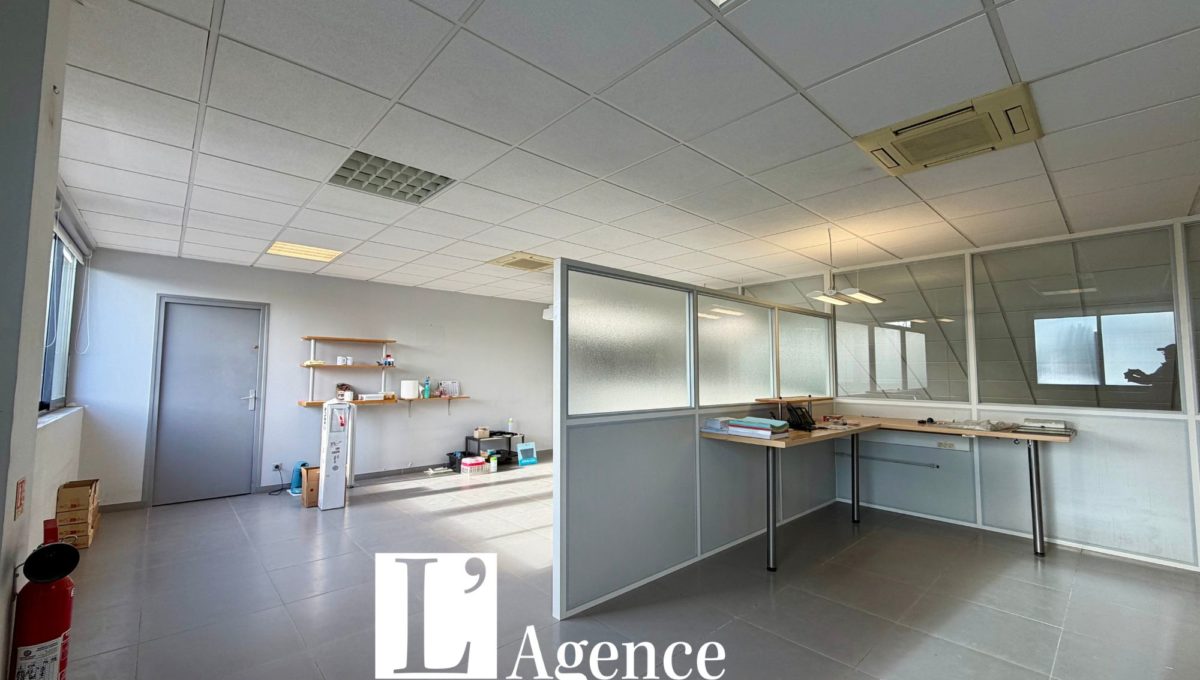 Design sans titre - 2026-10-15T134823.230
