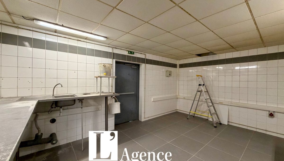 Design sans titre - 2026-10-15T135110.495